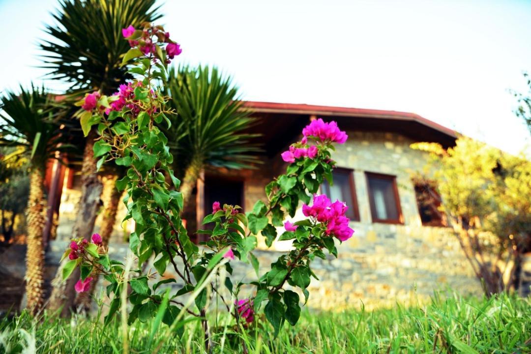 Pir Efes Konaklari อิซมีร์ ภายนอก รูปภาพ
