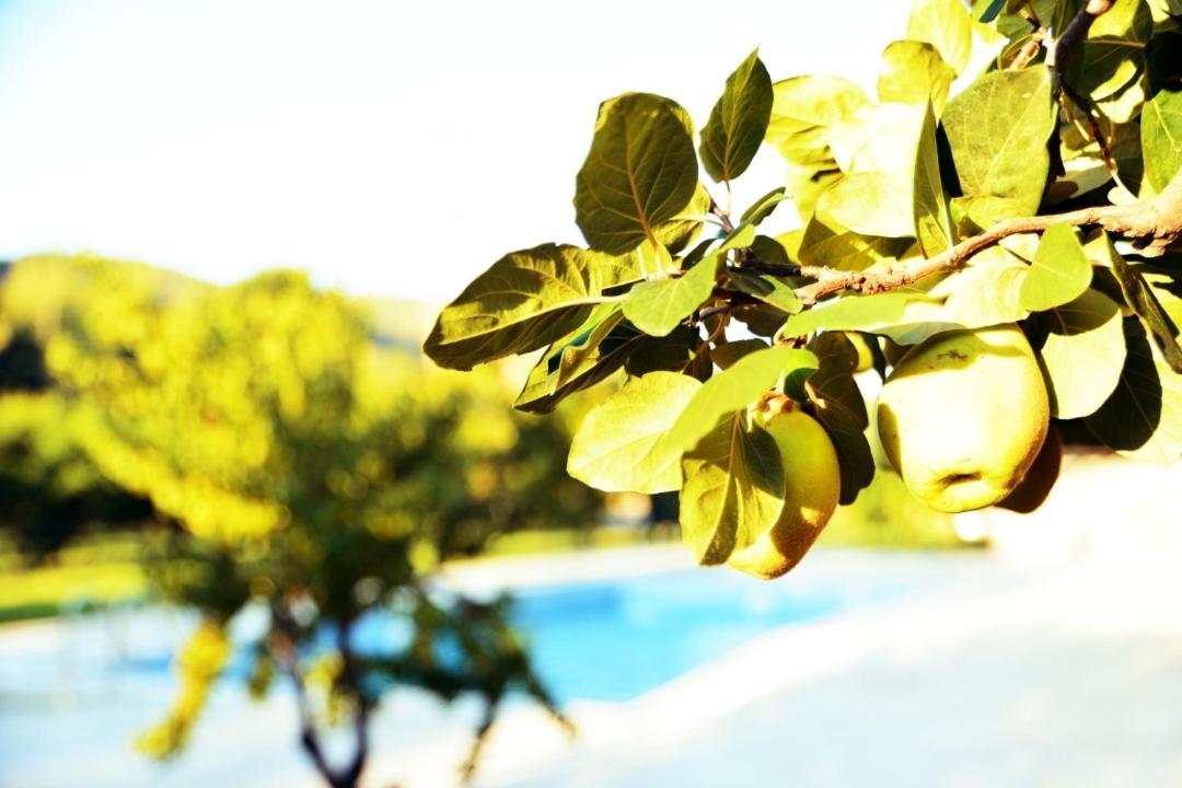 Pir Efes Konaklari อิซมีร์ ภายนอก รูปภาพ