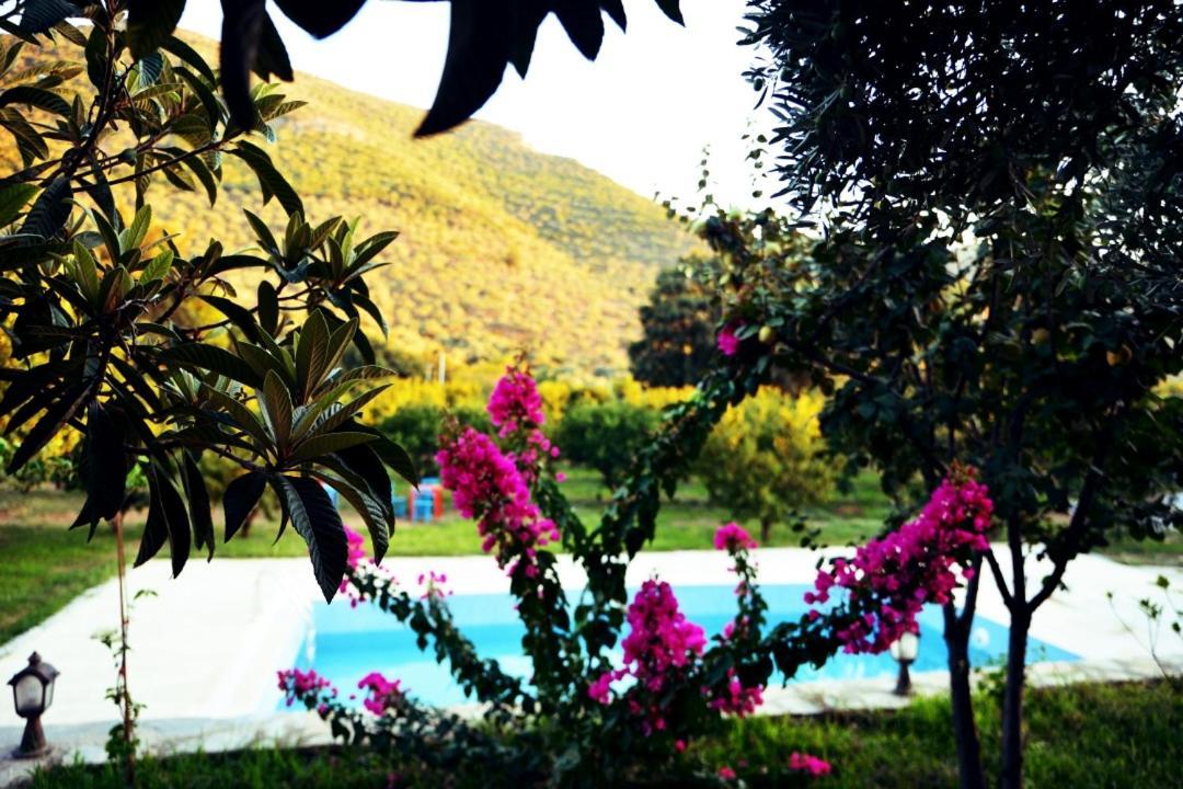 Pir Efes Konaklari อิซมีร์ ภายนอก รูปภาพ